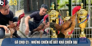 Gà Chọi C1 – Cuộc Đấu Đỉnh Cao Của Những Chiến Kê Bất Khả Chiến Bại