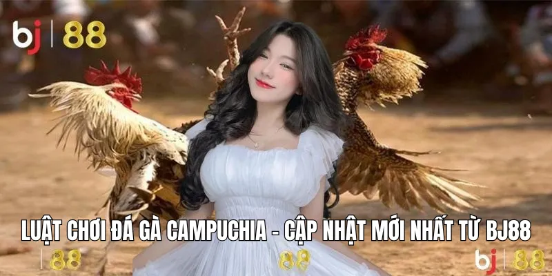 Luật chơi đá gà Campuchia – Cập nhật mới nhất từ BJ88