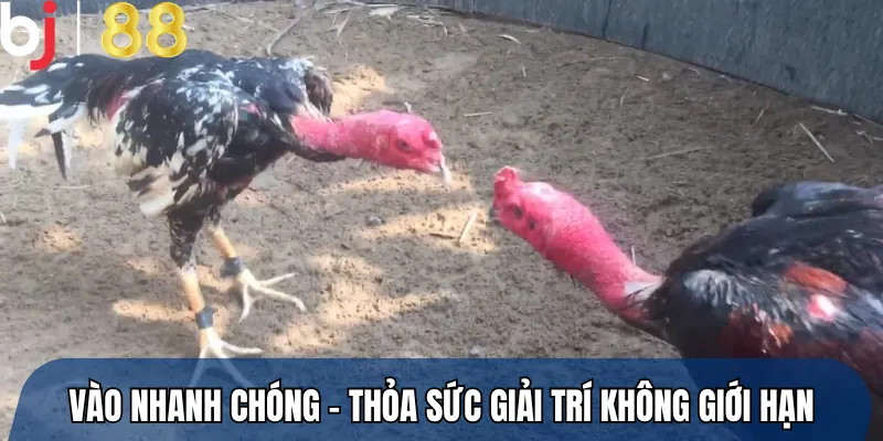 Vào nhanh chóng – Thỏa sức giải trí không giới hạn